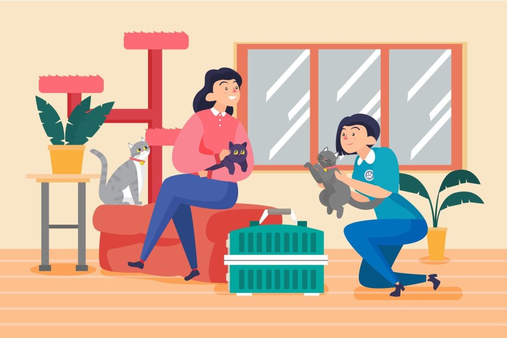 How to Move with a Cat?