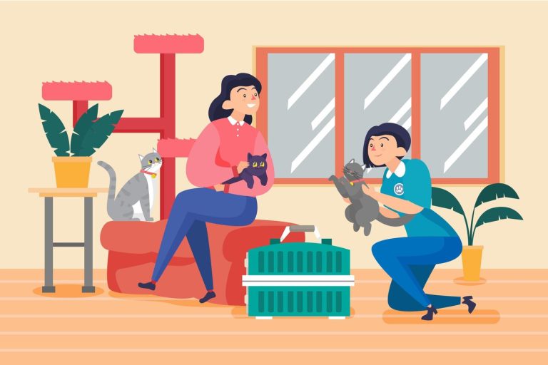 How to Move with a Cat?